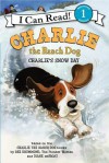 Charlie the Ranch Dog: Charlie's Snow Day - Ree Drummond, Diane de Groat