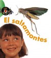 El Saltamontes = Grasshopper - Karen Hartley, Chris Macro, Phillip Taylor, Patricia Abello