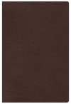 The Study Bible for Women, Chocolate Genuine Leather - Dorothy Kelley Patterson, Rhonda Harrington Kelley, Holman Bible Publisher