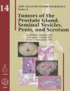 Tumors of the Prostate Gland Seminal Vesicles Penis and Scrotum: 14 (AFIP Atlas of Tumor Pathology) - Jonathan I. Epstein