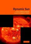 Dynamic Sun - B.N. Dwivedi