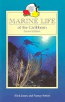 Marine Life of the Caribbean - Alick Jones, Nancy Sefton