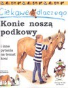 Ciekawe dlaczego konie noszą podkowy - Jackie Gaff