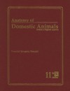 Anatomy of Domestic Animals: Systemic & Regional Approach - Chris Pasquini, T.L. Spurgeon, Thomas Leslie Spurgeon