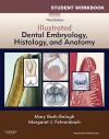 Student Workbook for Illustrated Dental Embryology, Histology and Anatomy - Mary Bath-Balogh, Margaret J. Fehrenbach