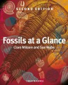 Fossils at a Glance - Clare Milsom, Sue Rigby