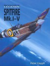 Bojowe legendy. Spitfire Mk. I-V - Peter Caygill, Wojtek Matusiak