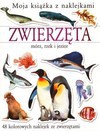 Zwierzęta mórz, rzek i jezior. Moja książka z naklejkami - Joanna Gaca (tłum.)