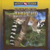 Animal Tails - Jonatha A. Brown, Susan Nations, Debra Voege