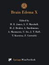 Brain Edema X: Proceedings of the Tenth International Symposium San Diego, California, October 20 23, 1996 - H.E. James, L.F. Marshall, H.-J. Reulen, Alexander Baethmann, Anthony Marmarou, U. Ito, J.T. Hoff, T. Kuroiwa, Z. Czernicki