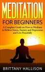 Meditation: Meditation for Beginners: How to Meditate to Relieve Stress, Anxiety & Depression and Live Peacefully *FREE BONUS* Preview of 'Letting Go' ... Personal Growth, Spirituality, Yoga) - Brittany Hallison, Kenneth Lewis, Meditation, Spirituality, Personal Growth, Self Development