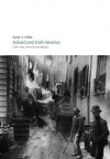 Ireland and Irish America: culture, Class, and Transatlantic Migration (Field Day Files) - Kerby A. Miller