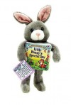 Little Bunny's Special Day: A Bend 'N' Snuggle Book (Bend `N' Cuddle Books) - Muff Singer