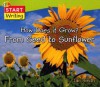 How Does It Grow? from Seed to Sunflower - Ian Smith