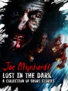 Lost in the Dark - Joe Mynhardt