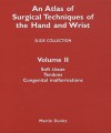 An Atlas of Surgical Techniques of the Hand and Wrist, Volume II: Slide Collection: Soft Tissue, Tendons, Congenital Malformations - Alain Gilbert, Alain C. Masquelet, Raoul Tubiana