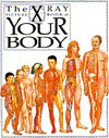 Your Body: X Ray Picture Book (X-Ray Picture Books) - Kathryn Senior, David Salariya, Kathryn Senoir