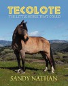 Tecolote: The Little Horse That Could - Sandy Nathan