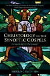 Christology in the Synoptic Gospels: God or God's Servant - Sigurd Grindheim