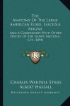 The Anatomy Of The Large American Fluke, Fasciola Magna: And A Comparison With Other Species Of The Genus Fasciola, S.St. (1894) - Charles Wardell Stiles, Albert Hassall