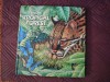 Pop-Up: Explore a Tropical Forest (National Geographic Action Book) - Peggy D. Winston