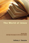 World of Jesus - Anthony Tomasino