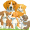 Playful Puppies - Emma Books Ltd.