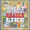 What Animals Really Like - Fiona Robinson