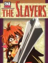 The Slayers: D20 System Role-Playing Game - Michelle Lyons