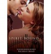 Spirit Bound (Vampire Academy, Book 5) - Richelle Mead