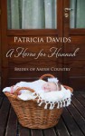 A Home for Hannah - Patricia Davids