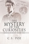 The Mystery of the Curiosities (Snow & Winter) - C.S. Poe