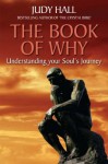 The Book of Why: Understanding Your Soul's Journey - Judy Hall