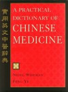 A Practical Dictionary of Chinese Medicine - Nigel Wiseman, Ye Feng