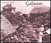 Galveston and the 1900 Storm - Patricia Bellis Bixel, Elizabeth Hayes Turner