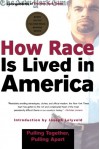 How Race Is Lived in America: Pulling Together, Pulling Apart - Correspondents of The New York Times, Joseph Lelyveld