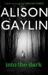 Into the Dark (Brenna Spector) - Alison Gaylin