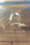 Ancient Wisdom for NOW!: Crystals and The 13 Crystal Skulls (ANCIENT WISDOM FOR NOW -The Trilogy) (Volume 1) - Rev. Marilee Ann Snyder-Nieciak, Linda Allayah Frisch, Gina Ise.org O'Connor, Kirsten Hilling, Joshua Shapiro, William Bill Homan