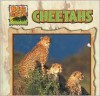 Cheetahs - Victor Gentle, Janet Perry