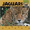 Jaguars - Anne Welsbacher