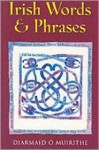 Irish Words and Phrases - Diarmaid Ó Muirithe