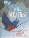 Wild Weather: Science Adventures with Sonny the Origami Bird - Thomas Kingsley Troupe, Jamey Christoph