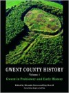 Gwent in Prehistory and Early History: Volume 1 (Gwent County History) - Miranda Aldhouse-Green, Ray Howell