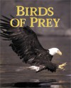 Birds of Prey - Ian Newton