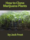 How to Clone Marijuana Plants: Get Perfect Results Every Time - Jack Frost