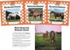 Horses Set 2: Checkerbaord Animal Library Anniversary Edition - Kristin Van Cleaf