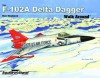 F-102 Delta Dagger Walk Around - Ken Neubeck