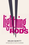 Lightning Rods - Helen DeWitt, David L. Flusfeder