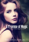 A Promise of Magic - Melissa Giorgio