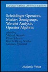 Schrodinger Operators, Markov Semigroups, Wavelet Analysis, Operator Algebras - Michael Demuth, Bert-Wolfgang Schulze, Elmar Schrohe